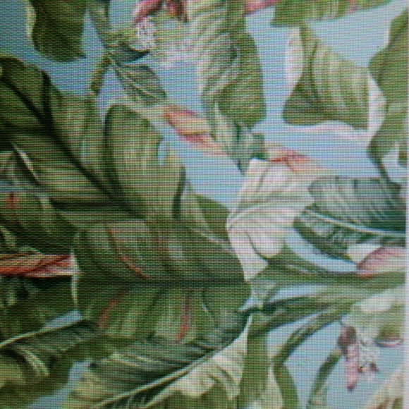 Wallpaper - Picture 2 of 3